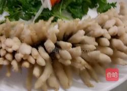 珊湖鱼的做法图解8