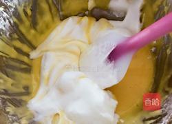原味奶香蛋糕卷的做法图解8