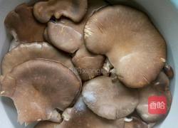 手撕鲍鱼菇的做法图解2