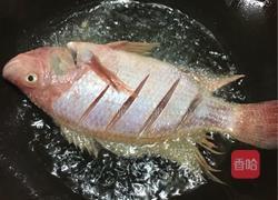 紅燒紅魚的做法圖解4