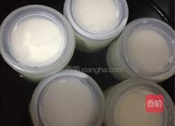 自制电饭煲酸奶的做法图解7