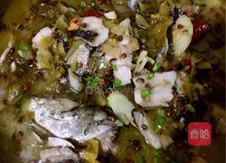 酸菜黑鱼的做法图解6
