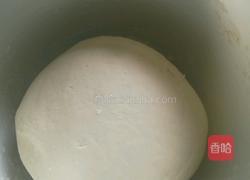 娃娃菜包子的做法图解5