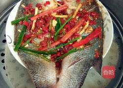 清蒸剁椒鲈鱼的做法图解7