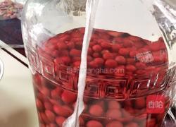 李子酒的做法图解10