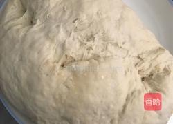 韭菜猪肉饺的做法图解4