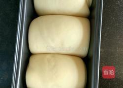 酸奶吐司的做法图解13