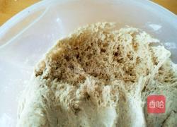 黑麦葡萄干硬欧的做法图解5