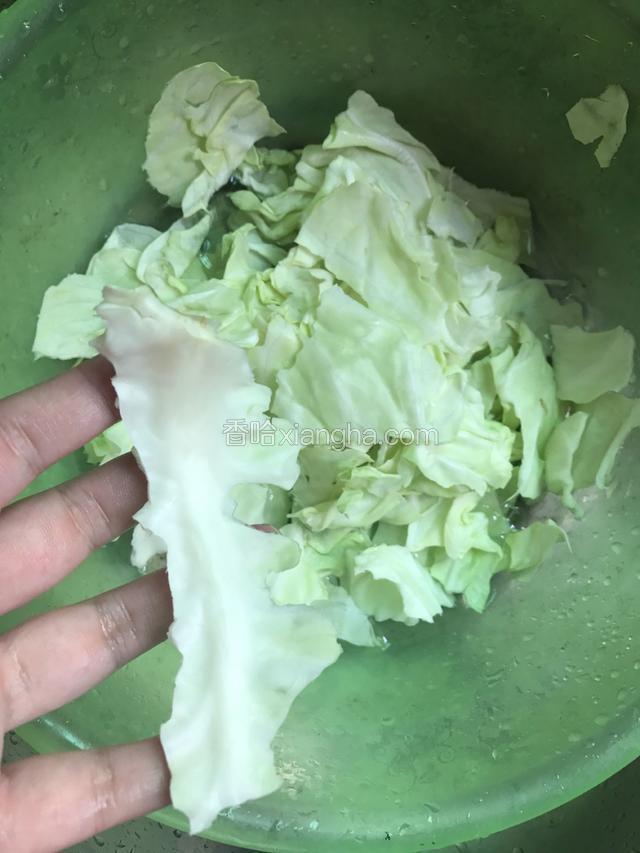 把包菜撕碎洗净 （梗不要）