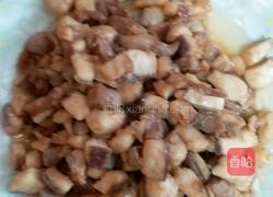 鲨鱼肉丁酸菜炒饭的做法图解6