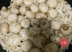 香菇猪肉馅包子的做法图解3