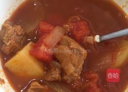 西红柿牛腩汤的做法图解6