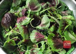 蒜爆红苋菜的做法图解5