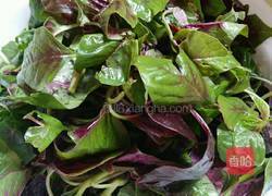 蒜香苋菜的做法图解1