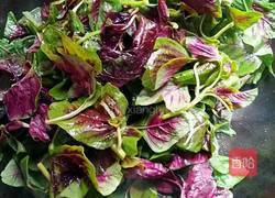 蒜香苋菜的做法图解3