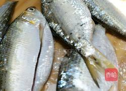 鱼汁的做法图解1