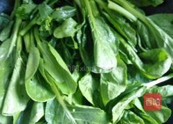 蒜蓉炒油菜的做法图解3