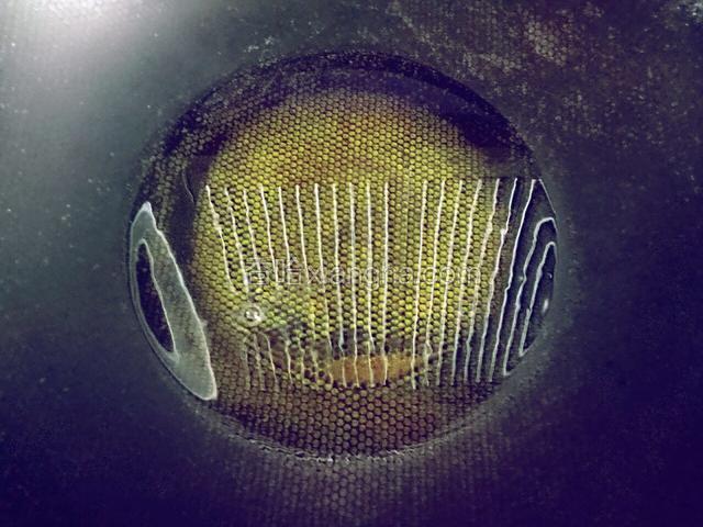 锅烧热倒入适量的油