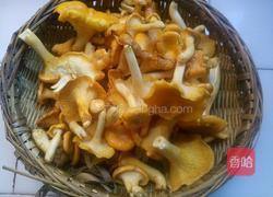 素炒黄丝菌的做法图解2