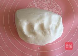 水晶虾饺的做法图解9