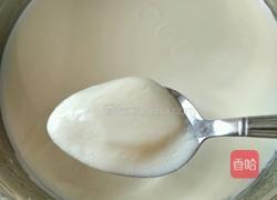 原味酸奶的做法图解5