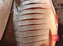 孔雀开屏的做法图解2