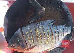 孔雀开屏的做法图解4