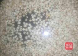 猪肚薏米汤的做法图解5