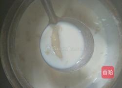 花胶奶冻的做法图解2