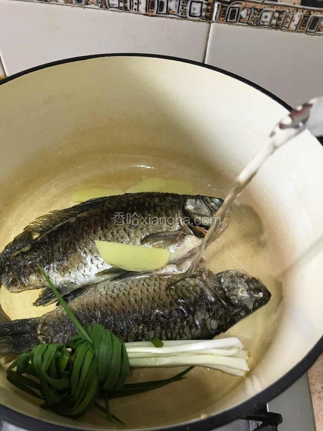 另置干净汤锅，放入煎好的鱼、姜片和葱结加入适量清水