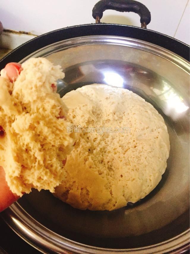 发酵40分钟，发到两倍大至2.5倍大，撕拉有蜂窝组织就可以拿出来了