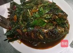 大蒜烧鲫鱼的做法图解9