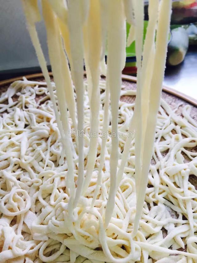 擀成面饼，厚薄宽窄，根据自己喜好口味掌握，切条！切面的时候多撒点干面粉，防止面条之间粘连！