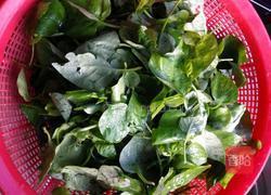 瘦肉枸杞叶汤的做法图解1