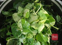 瘦肉枸杞叶汤的做法图解5