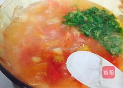 番茄土豆煮的做法图解8