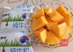 芒果奶昔的做法图解2