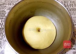 玉米面包的做法图解7