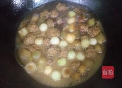 龙眼肉圆的做法图解4