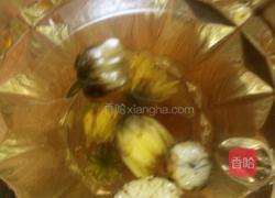 菊花蜂蜜茶的做法图解7