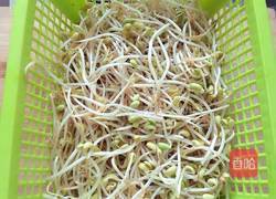 炝炒黄豆芽的做法图解1