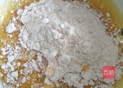双色鸟巢鸡蛋饼的做法图解3
