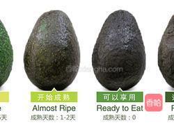 鳄梨酸奶碗的做法图解1