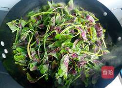 炝炒苋菜的做法图解4
