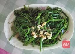 蒜炒佛手瓜苗的做法图解8