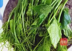 蒜炒佛手瓜苗的做法图解1