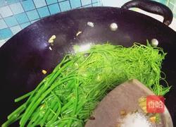 蒜炒佛手瓜苗的做法图解6