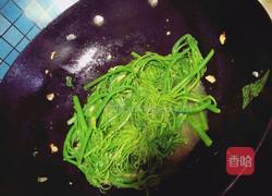 蒜炒佛手瓜苗的做法图解7