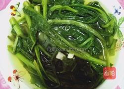 上汤苦麻菜的做法图解5