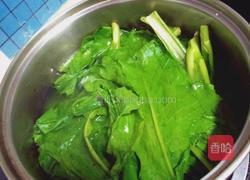 上汤苦麻菜的做法图解3